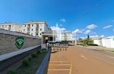Apartamento à venda, mobílina na cozinha, vila marumbi