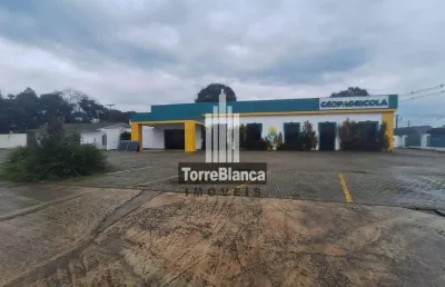 Ponto comercial para locação, 3 imóveis no mesmo local - colônia dona luíza - ponta grossa/pr