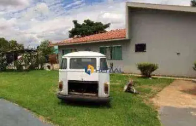 Chácara com 3 quartos, sendo 1 suíte para alugar, 500 m² por r$ 2.400/mês - loteamento bela vista - maringá/pr