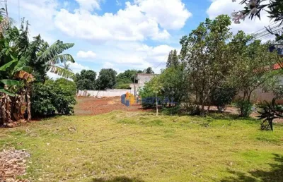(aceita troca) terreno à venda, 980 m² por r$ 590.000 - vila morangueira - maringá/pr