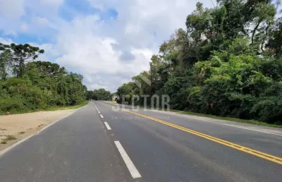 Ponto comercial à venda na Rodovia do Xisto, Restinga, Lapa