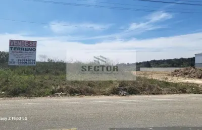 Ponto comercial com 1 sala para alugar na Rua Leozir Ferreira dos Santos, Campo Largo da Roseira, São José dos Pinhais