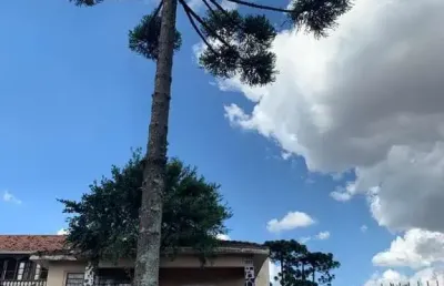 Ponto comercial com 1 sala à venda na Rua Capiberibe, Portão, Curitiba