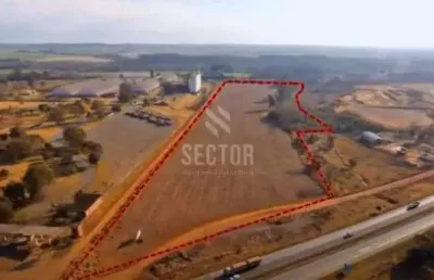 Ponto comercial para alugar na Rodovia BR-376, Colônia Dona LuÍza, Ponta Grossa