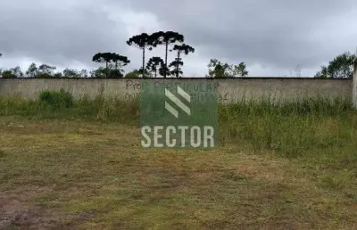 Ponto comercial à venda na Av. Sen. Souza Naves, Três Marias, São José dos Pinhais