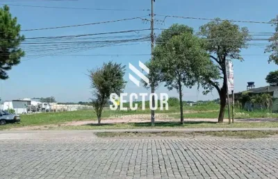 Terreno para locação em colônia murici  -  são josé dos pinhais