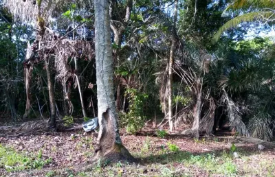 Terreno comercial à venda na Rua Quingoma, Quingoma, Lauro de Freitas