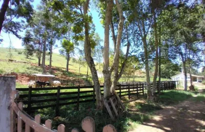 Sítio com 2 dormitórios à venda, 193600 m² por r$ 1.600.000,00 - zona rural - lagoinha/sp
