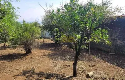 Terreno à venda, 338 m² por r$ 143.000,00 - azeredo - pindamonhangaba/sp