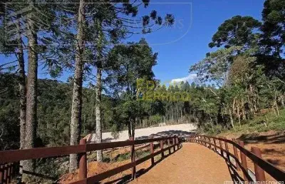 Haras à venda, 145200 m² por r$ 6.500.000,00 - sítio - são bento do sapucaí/sp