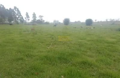 Terreno rural à venda, jardim regina, pindamonhangaba.