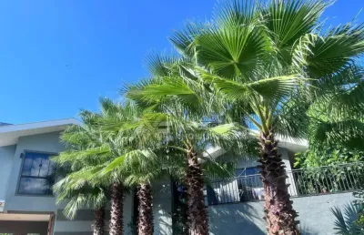 Casa em condomínio fechado com 3 quartos à venda na Rua Annibal Cabral, 0000000001, Estância Cabral, Cambé