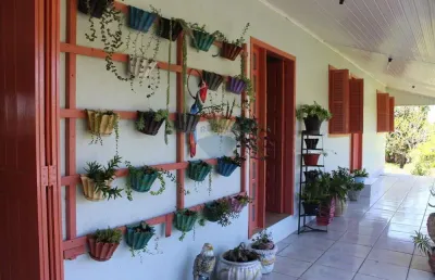 Chácara / sítio com 3 quartos à venda na Vila Palmeira, Santo Antônio da Patrulha 