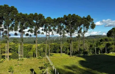 Chácara / sítio à venda na rua ismael josé rangel de castilhos, ana rech, caxias do sul por r$ 1.800.000