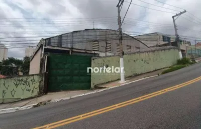 Barracão / Galpão / Depósito com 1 sala para alugar na Avenida Paula Ferreira, Pirituba, São Paulo