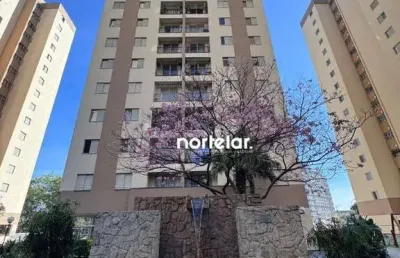 Apartamento com 3 dormitórios à venda, 70 m² por r$ 450.000,00 - parque são domingos - são paulo/sp