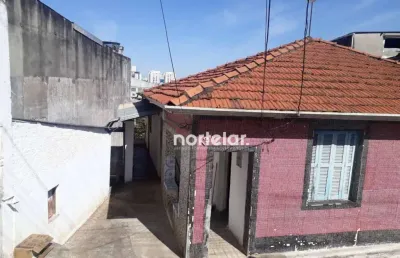 Terreno à venda, 650 m² por r$ 800.000,00 - piqueri - são paulo/sp
