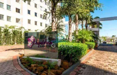 Apartamento com 2 dormitórios à venda, 47 m² por r$ 265.000,00 - gleba fazenda palhano - londrina/pr