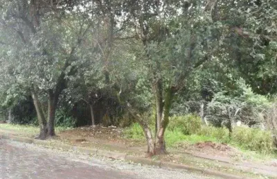 Terreno à venda, 1200 m² por r$ 556.000,00 - vila conceição - porto alegre/rs
