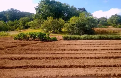 Atenção linda área de 12.335,90 m2 plana e plantada estudo carro e imovel no pag