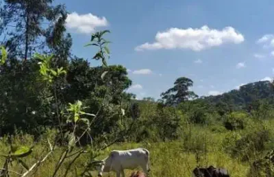 Terreno à venda na serra negra, 218, liberatos, betim por r$ 165.000