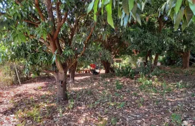 Terreno à venda, 524 m² por r$ 340.000,00 - jardim recreio - ribeirão preto/sp
