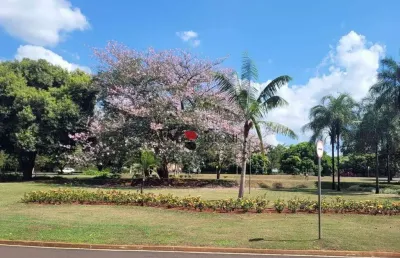 Terreno alto padrão no condomínio royal park, 1014m² à venda, em ribeirão preto/sp - imobiliária em ribeirão preto - brioni imóveis.