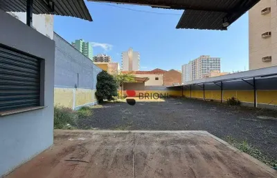 Terreno para alugar, 613 m², no centro em ribeirão preto/sp i imobiliária brioni imóveis