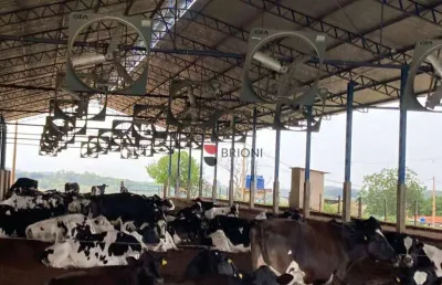 Sitio a venda em cajuru l imobiliária em ribeirão preto i brioni imóveis