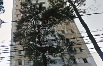 Apartamento  para locação no bairro: chácara santo antônio