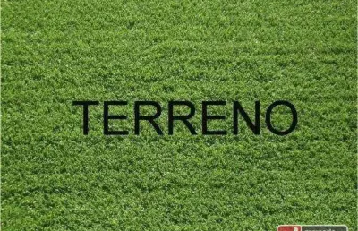 Terreno à venda, 300 m² por r$ 1.000.000,00 - alto da boa vista - ribeirão preto/sp