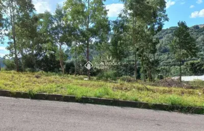 Terreno à venda na rua joão celli, 4, santa catarina, caxias do sul, 300 m2 por r$ 150.000