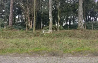 Terreno à venda na rua theodoro bianchi, 102, bela vista, caxias do sul, 600 m2 por r$ 304.000