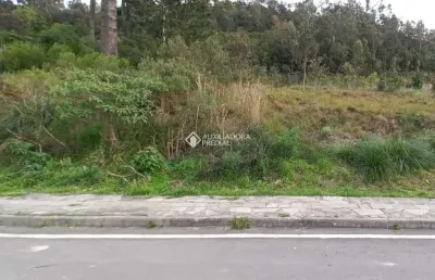 Terreno à venda na rua luiz covolan, 4536, santa catarina, caxias do sul, 362 m2 por r$ 200.000