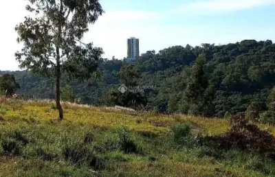 Terreno à venda na rua francisca de steffani doncato, 18, santa catarina, caxias do sul, 302 m2 por r$ 150.000