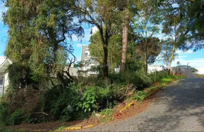 Terreno à venda na rua adalberon cruz, 999, bela vista, caxias do sul, 360 m2 por r$ 300.000