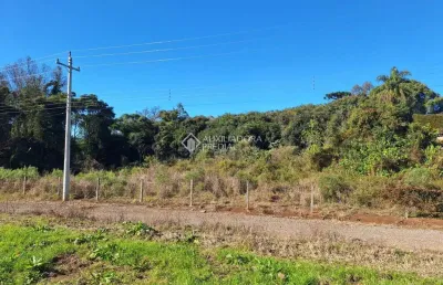 Terreno comercial à venda na rua travessão thompson flores, 00, nossa senhora da saúde, caxias do sul, 272 m2 por r$ 1.300.000