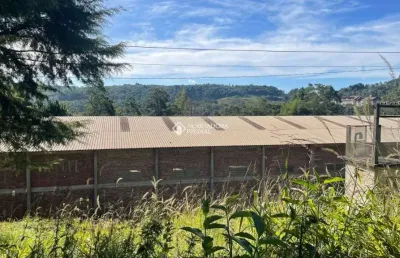 Terreno comercial à venda na joao carlos camerini, 888, carazal, gramado, 1800 m2 por r$ 11.900.000