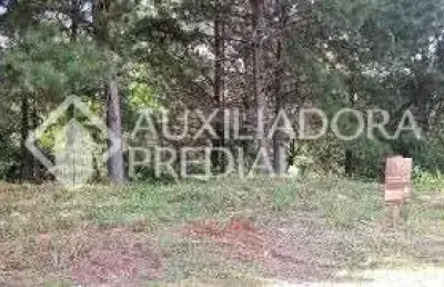 Terreno comercial à venda na c (lot marsal), 15, dutra, gramado, 450 m2 por r$ 375.000