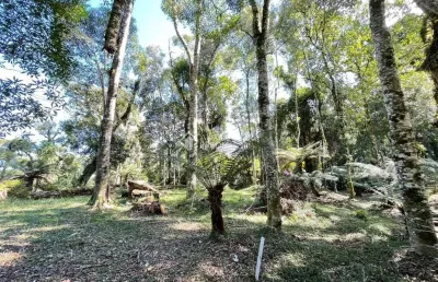 Terreno em condomínio fechado à venda na rua prefeito waldemar frederico weber, 10, mato queimado, gramado, 1061 m2 por r$ 1.400.000