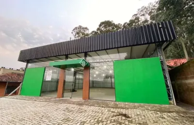 Barracão / galpão / depósito à venda na ledovino pante, 30, pórtico, gramado, 231 m2 por r$ 1.800.000