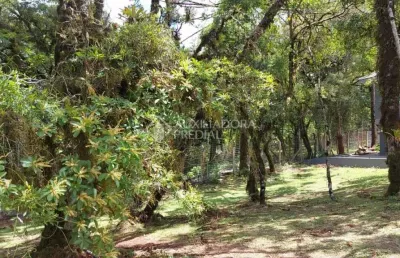 Terreno em condomínio fechado à venda na quadra f  lote 2, 2, centro, canela, 544 m2 por r$ 1.500.000
