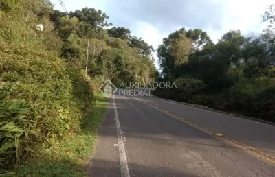 Terreno em condomínio fechado à venda na joao baldasso, 10000, centro, canela, 10000 m2 por r$ 7.500.000