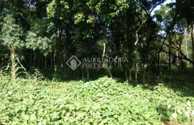 Terreno em condomínio fechado à venda na travessa do colegio, 1, várzea grande, gramado, 55000 m2 por r$ 20.000.000