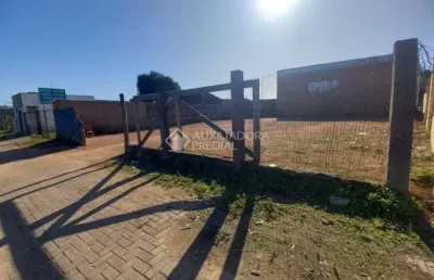 Terreno comercial à venda na castelo branco, marechal, 2736, morada da colina, guaíba, 512 m2 por r$ 550.000