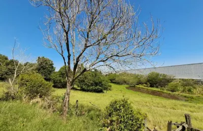 Terreno à venda na santa rita ao caju, 100, floresta, nova santa rita, 33000 m2 por r$ 3.000.000