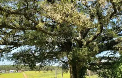 Fazenda à venda na distrito vendinha, 1, zona rural, triunfo, 330 m2 por r$ 679.990