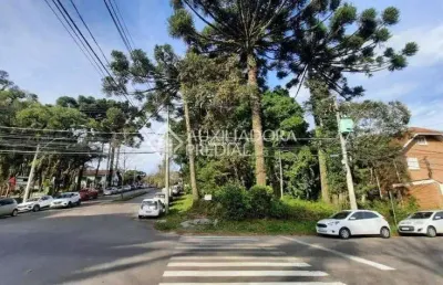 Terreno em condomínio fechado à venda na coronel diniz, 268, centro, canela, 800 m2 por r$ 2.100.000