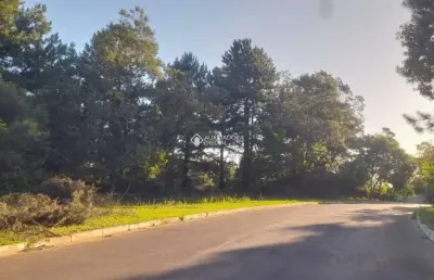 Terreno à venda na rua coronel jacob kroeff filho, 1131, rondônia, novo hamburgo, 7000 m2 por r$ 980.000