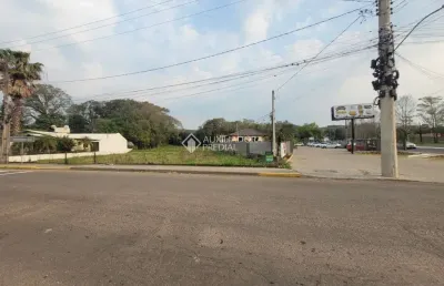 Terreno comercial à venda na alberto rubenich, 7710, travessão, dois irmãos, 2500 m2 por r$ 950.000